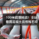 100米极限挑战!全球最高混凝土面板堆石坝如何实现智能高效建造?(图3) 100米极限挑战!全球最高混凝土面板堆石坝如何实现智能高效建造?(图3)