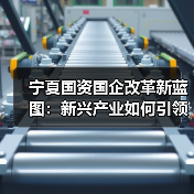 宁夏国资国企改革新蓝图：新兴产业如何引领发展新动能（图3）
