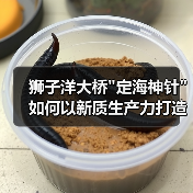 狮子洋大桥