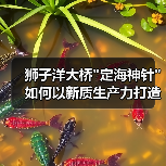 狮子洋大桥