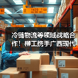 冷链物流等领域战略合作！柳工携手广西现代物流集团共促发展（图4）