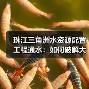 珠江三角洲水资源配置工程通水:如何破解大湾区用水难题?(图2) 珠江三角洲水资源配置工程通水:如何破解大湾区用水难题?(图2)