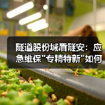 隧道股份城盾隧安：应急维保