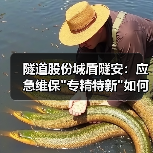 隧道股份城盾隧安：应急维保