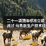 二十一项团体标准立项通过 乌鱼肽生产技术规程发布(图2) 二十一项团体标准立项通过 乌鱼肽生产技术规程发布(图2)