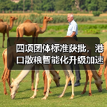 四项团体标准获批,港口散粮智能化升级加速(图1) 四项团体标准获批,港口散粮智能化升级加速(图1)