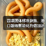 四项团体标准获批,港口散粮智能化升级加速(图2) 四项团体标准获批,港口散粮智能化升级加速(图2)