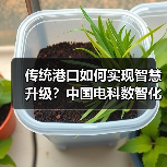 传统港口如何实现智慧升级?中国电科数智化方案解析(图2) 传统港口如何实现智慧升级?中国电科数智化方案解析(图2)