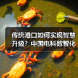 传统港口如何实现智慧升级?中国电科数智化方案解析(图1) 传统港口如何实现智慧升级?中国电科数智化方案解析(图1)