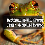 传统港口如何实现智慧升级?中国电科数智化方案解析(图4) 传统港口如何实现智慧升级?中国电科数智化方案解析(图4)