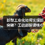 新型工业化如何实现新突破?工信部解读核心优势与进展成效(图4) 新型工业化如何实现新突破?工信部解读核心优势与进展成效(图4)