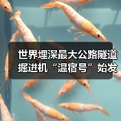 世界埋深最大公路隧道掘进机“温宿号”始发,硬核科技穿越冰川挑战(图4) 世界埋深最大公路隧道掘进机“温宿号”始发,硬核科技穿越冰川挑战(图4)