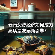 云南资源经济如何成为高质量发展新引擎?(图1) 云南资源经济如何成为高质量发展新引擎?(图1)
