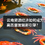云南资源经济如何成为高质量发展新引擎?(图2) 云南资源经济如何成为高质量发展新引擎?(图2)