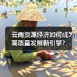 云南资源经济如何成为高质量发展新引擎?(图3) 云南资源经济如何成为高质量发展新引擎?(图3)