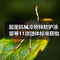 起重机械冷喷锌防护涂装等11项团体标准获批,行业应用如何升级?(图1) 起重机械冷喷锌防护涂装等11项团体标准获批,行业应用如何升级?(图1)
