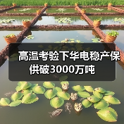 高温考验下华电稳产保供破3000万吨(图2) 高温考验下华电稳产保供破3000万吨(图2)