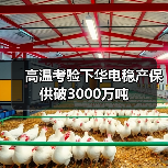 高温考验下华电稳产保供破3000万吨(图4) 高温考验下华电稳产保供破3000万吨(图4)