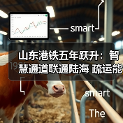 山东港铁五年跃升:智慧通道联通陆海 疏运能力倍增!(图4) 山东港铁五年跃升:智慧通道联通陆海 疏运能力倍增!(图4)