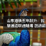 山东港铁五年跃升:智慧通道联通陆海 疏运能力倍增!(图3) 山东港铁五年跃升:智慧通道联通陆海 疏运能力倍增!(图3)