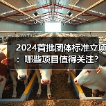 2024首批团体标准立项:哪些项目值得关注?(图3) 2024首批团体标准立项:哪些项目值得关注?(图3)