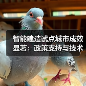 智能建造试点城市成效显著:政策支持与技术创新成果盘点(图1) 智能建造试点城市成效显著:政策支持与技术创新成果盘点(图1)