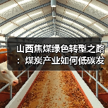 山西焦煤绿色转型之路:煤炭产业如何低碳发展?(图3) 山西焦煤绿色转型之路:煤炭产业如何低碳发展?(图3)