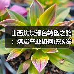 山西焦煤绿色转型之路:煤炭产业如何低碳发展?(图4) 山西焦煤绿色转型之路:煤炭产业如何低碳发展?(图4)