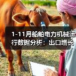 1-11月船舶电力机械运行数据分析：出口增长与产能变化（图1）
