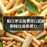 阳江市设备更新以旧换新释放消费潜力(图1) 阳江市设备更新以旧换新释放消费潜力(图1)