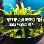 阳江市设备更新以旧换新释放消费潜力(图2) 阳江市设备更新以旧换新释放消费潜力(图2)