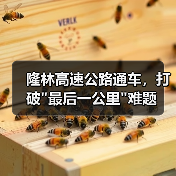 隆林高速公路通车,打破 隆林高速公路通车,打破