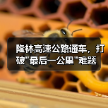 隆林高速公路通车,打破 隆林高速公路通车,打破