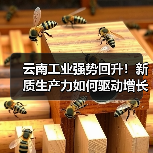 云南工业强势回升!新质生产力如何驱动增长?(图2) 云南工业强势回升!新质生产力如何驱动增长?(图2)