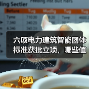 六项电力建筑智能团体标准获批立项,哪些值得关注?(图1) 六项电力建筑智能团体标准获批立项,哪些值得关注?(图1)