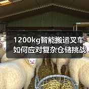 1200kg智能搬运叉车如何应对复杂仓储挑战?英伟达技术赋能(图3) 1200kg智能搬运叉车如何应对复杂仓储挑战?英伟达技术赋能(图3)