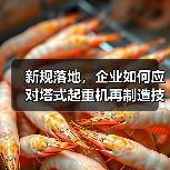 新规落地，企业如何应对塔式起重机再制造技术升级？（图2）