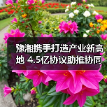 豫湘携手打造产业新高地 4.5亿协议助推协同升级(图1) 豫湘携手打造产业新高地 4.5亿协议助推协同升级(图1)