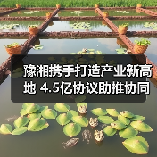 豫湘携手打造产业新高地 4.5亿协议助推协同升级(图3) 豫湘携手打造产业新高地 4.5亿协议助推协同升级(图3)