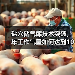 盐穴储气库技术突破,年工作气量如何达到10亿立方米?(图1) 盐穴储气库技术突破,年工作气量如何达到10亿立方米?(图1)