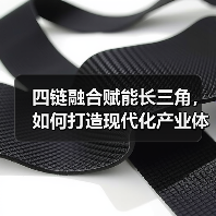 四链融合赋能长三角，如何打造现代化产业体系？（图1）