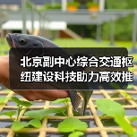 北京副中心综合交通枢纽建设科技助力高效推进(图1) 北京副中心综合交通枢纽建设科技助力高效推进(图1)