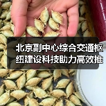 北京副中心综合交通枢纽建设科技助力高效推进(图2) 北京副中心综合交通枢纽建设科技助力高效推进(图2)