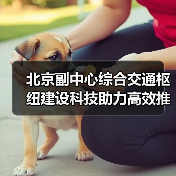北京副中心综合交通枢纽建设科技助力高效推进(图4) 北京副中心综合交通枢纽建设科技助力高效推进(图4)