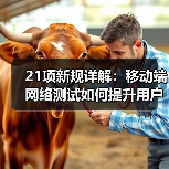 21项新规详解:移动端网络测试如何提升用户体验?(图2) 21项新规详解:移动端网络测试如何提升用户体验?(图2)