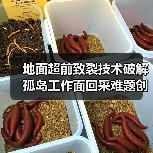 地面超前致裂技术破解孤岛工作面回采难题创新应用(图2) 地面超前致裂技术破解孤岛工作面回采难题创新应用(图2)
