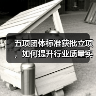 五项团体标准获批立项，如何提升行业质量实效性？（图1）