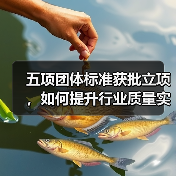 五项团体标准获批立项，如何提升行业质量实效性？（图2）