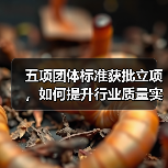 五项团体标准获批立项，如何提升行业质量实效性？（图4）