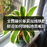 全国最长单洞双线铁路隧道如何破解地质难题?(图3) 全国最长单洞双线铁路隧道如何破解地质难题?(图3)
